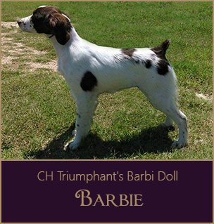 Barbie