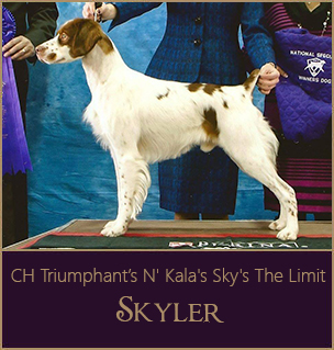 Skyler