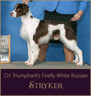 Stryker